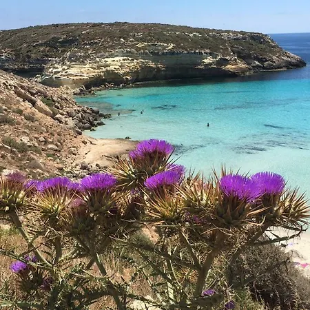 A Sud - Lampedusa